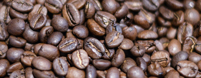 Kaffee­maschinen bei Elektro Stumpf GmbH in Neuenmarkt